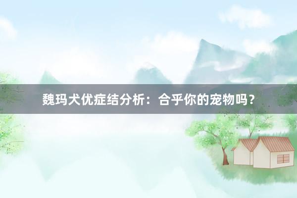 魏玛犬优症结分析:合乎你的宠物吗?